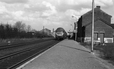 Boussu - DIEU F0300 (2).jpg